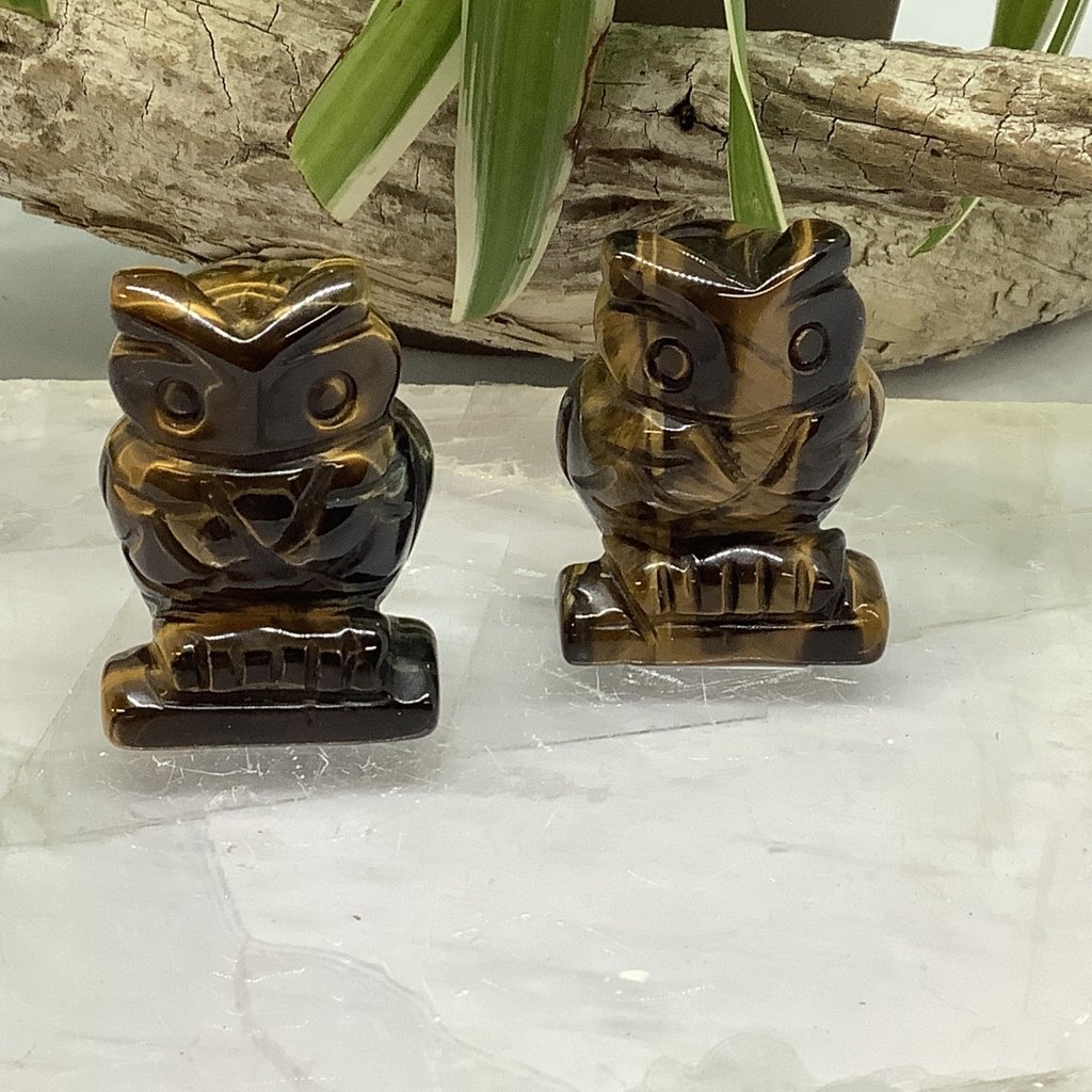 Tiger’s Eye Owl