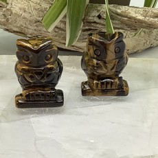 Tiger’s Eye Owl