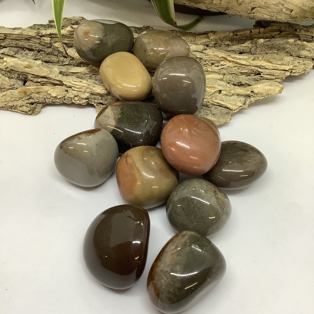 Polychrome Jasper Tumbled