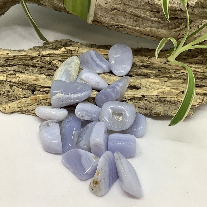 Blue Lace Agate Tumbled Medium