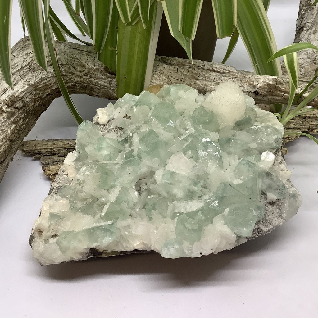 Green Apophyllite Cluster