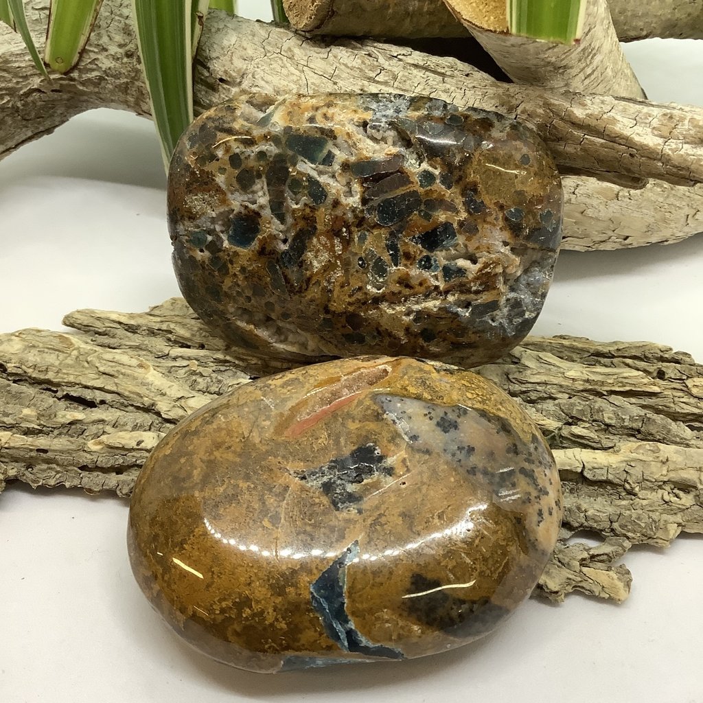 Apatite in Jasper Palm Stone Extra Large