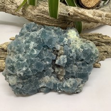 Blue Fluorite Cluster Specimen