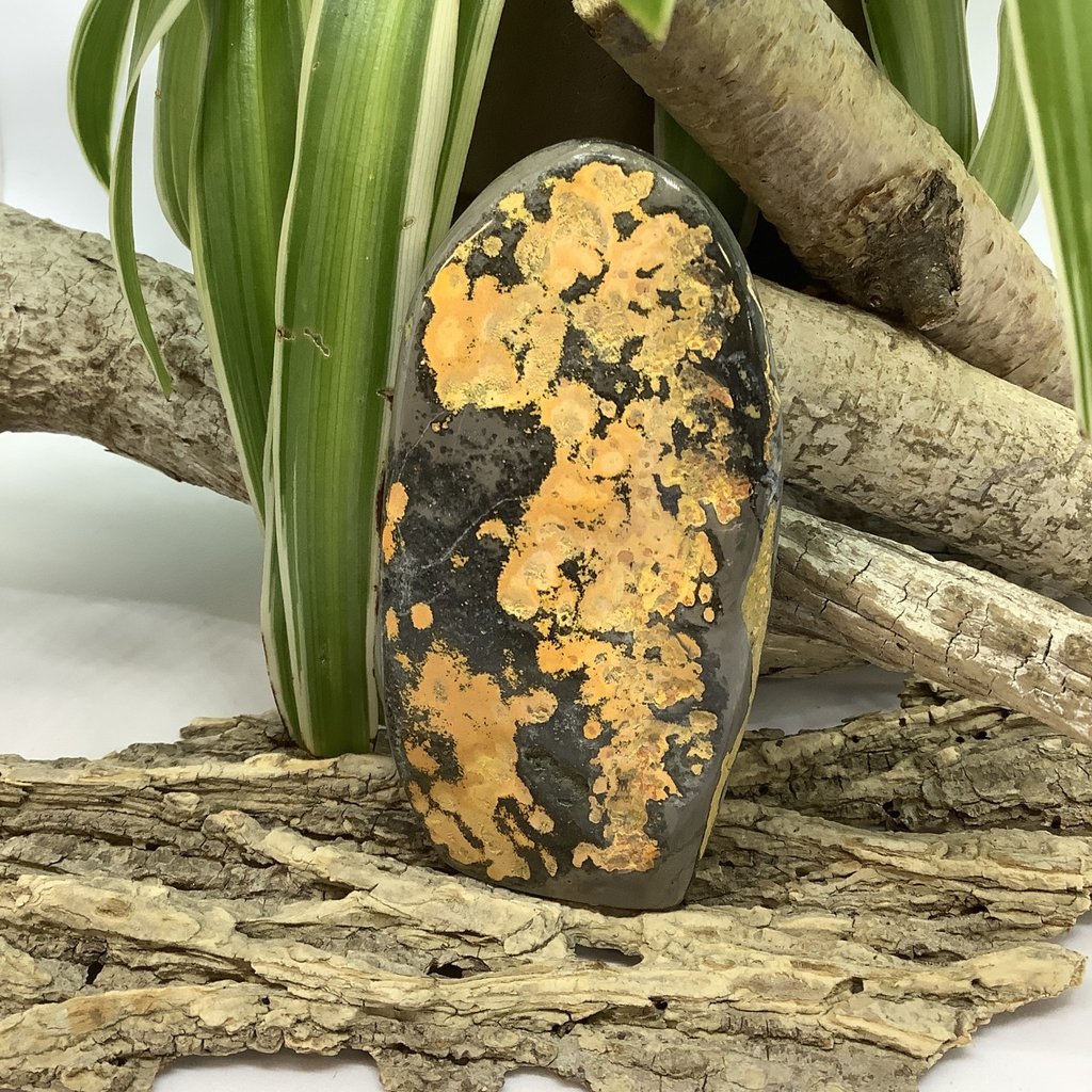 Bumblebee Jasper Free Form 94 mm Height