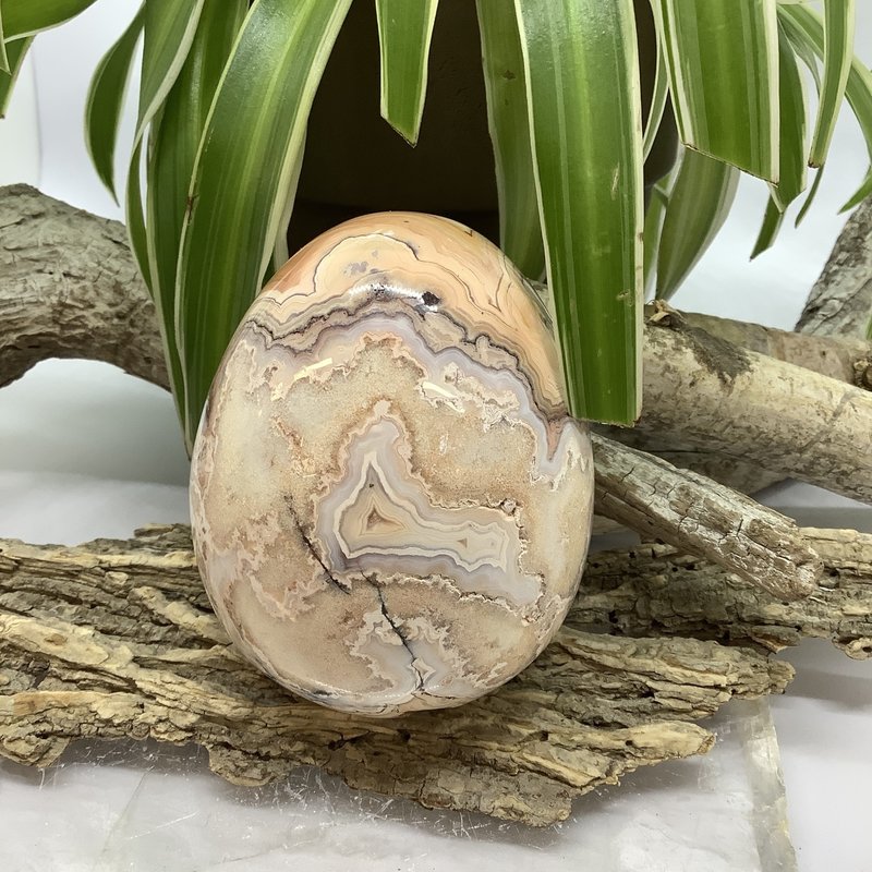 Indonesian Pink Lace Agate Egg