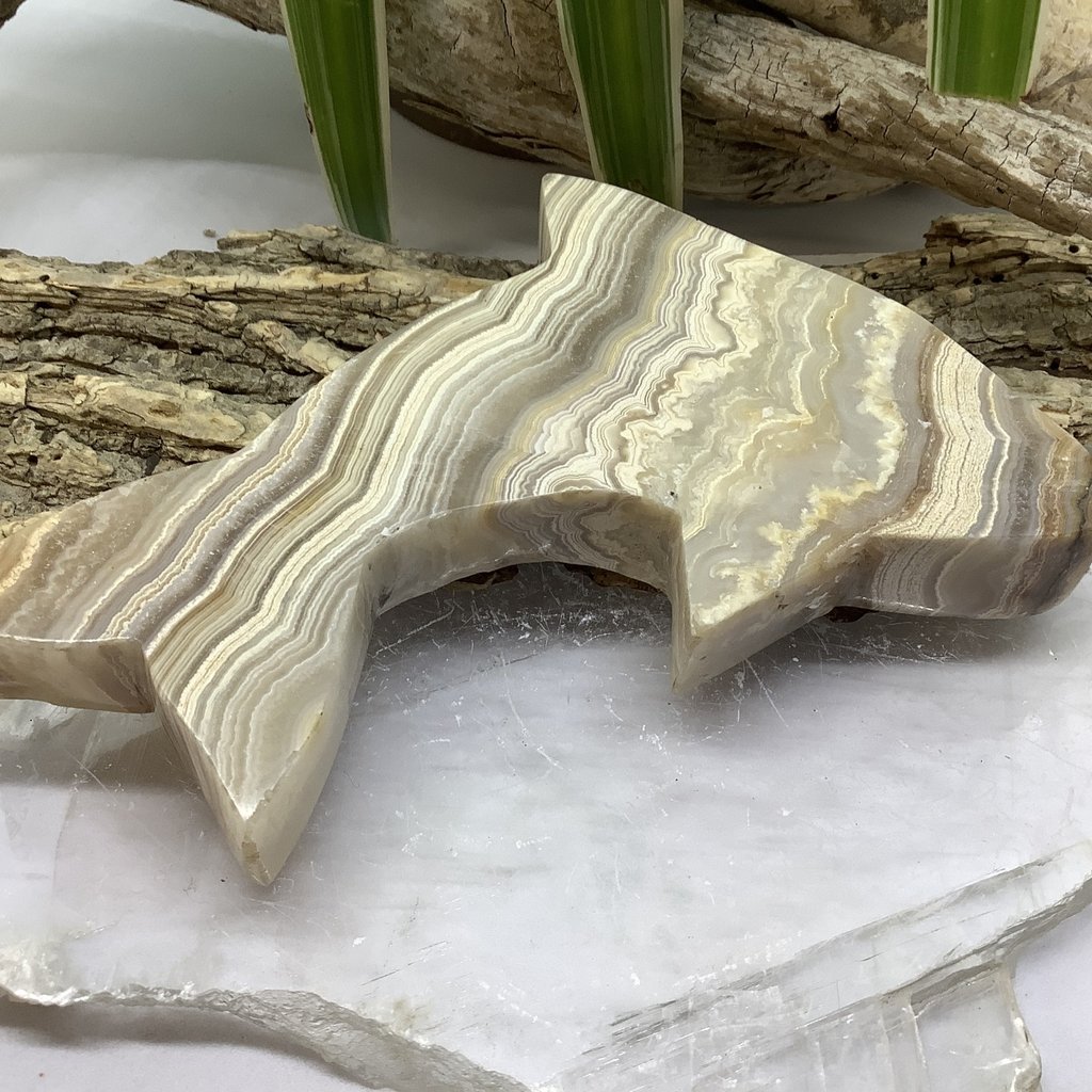 Indonesian Crazy Lace Agate Dolphin