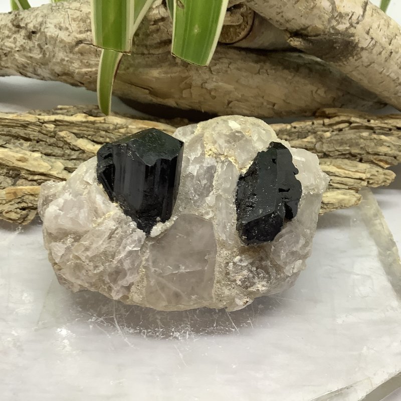 Black Tourmaline in Quartz