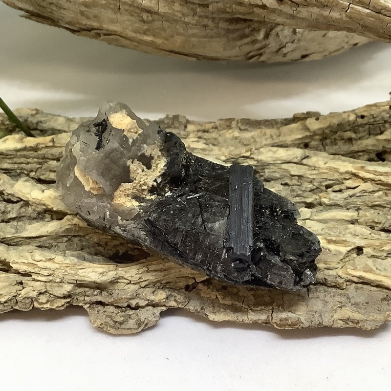 Black Tourmaline in Smoky Quartz