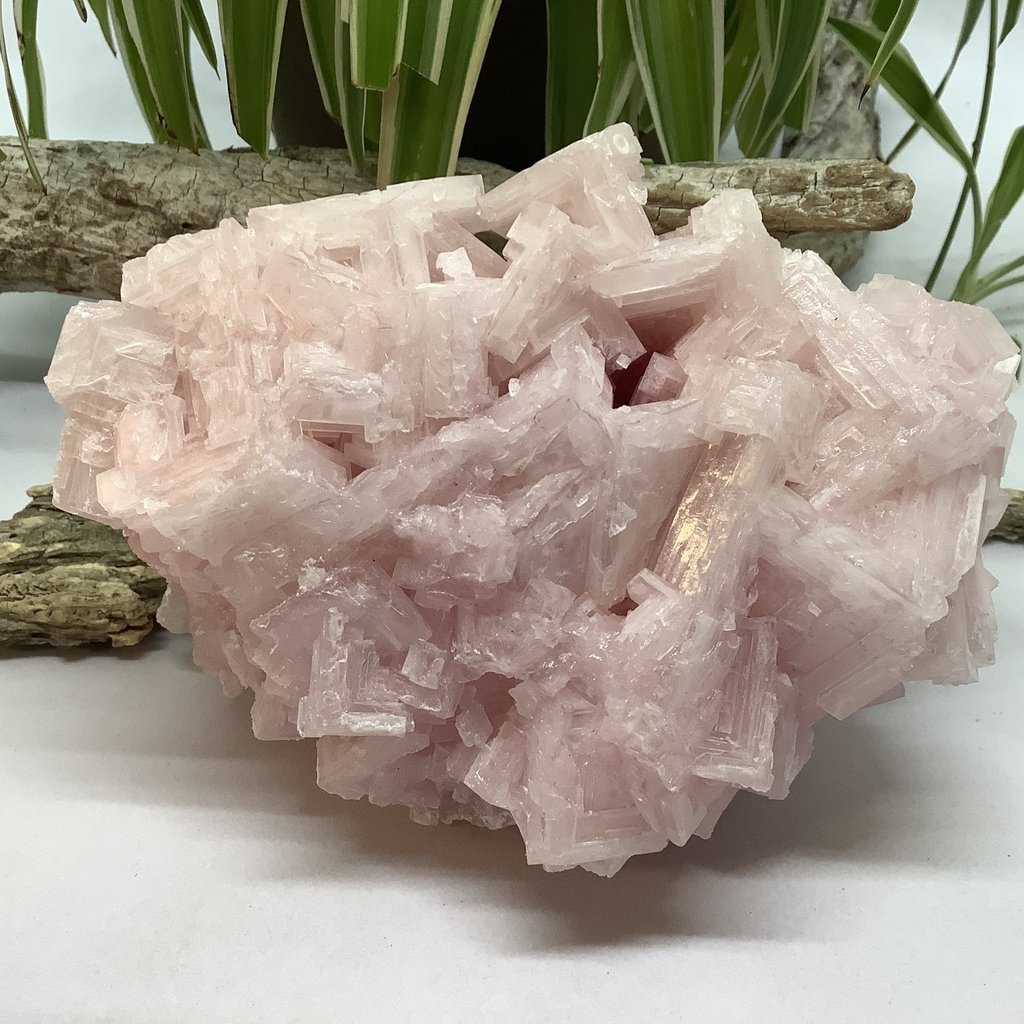 Pink Halite Cluster