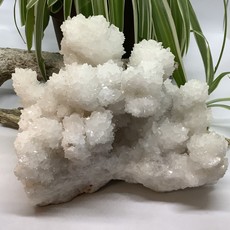 White Aragonite Cluster From Chihuahua Mexico 143 mm Length
