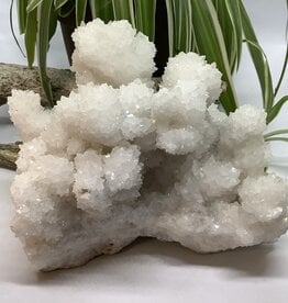 White Aragonite Cluster From Chihuahua Mexico