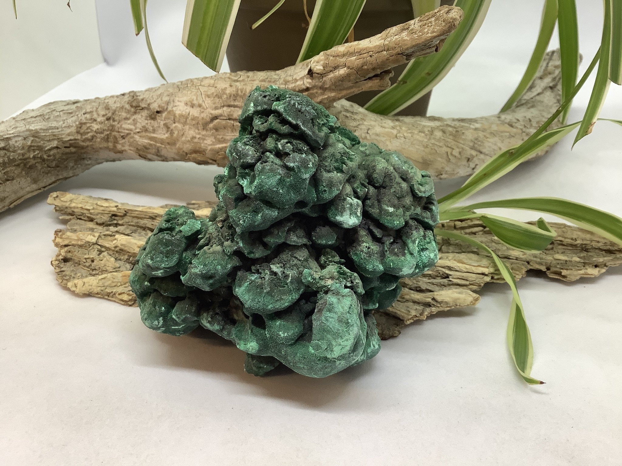 Velvet malachite deals