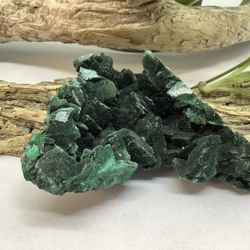 Velvet Malachite