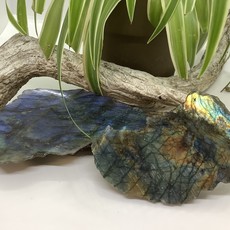 Labradorite Half Polished