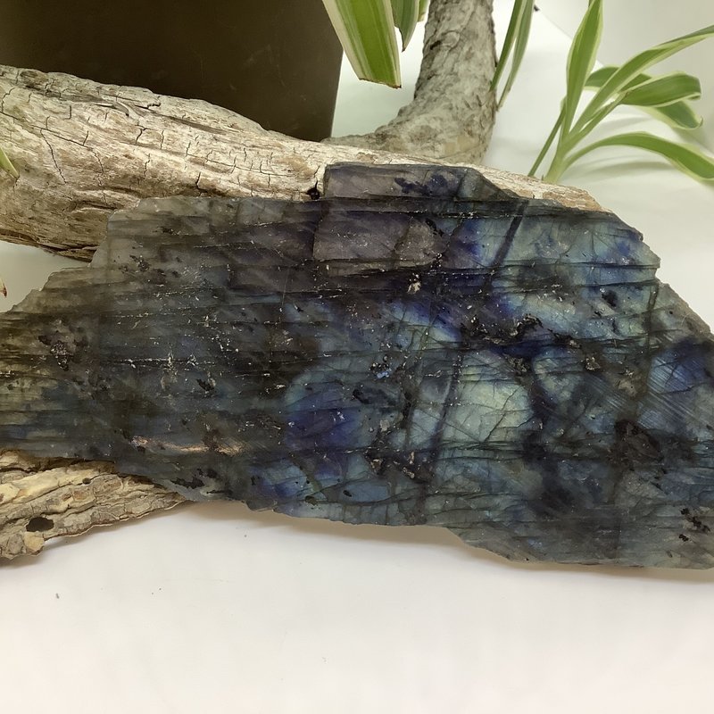 Labradorite Half Polished