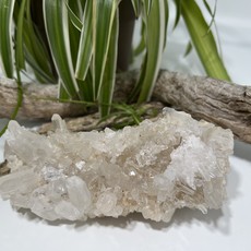 Lemurian Quartz Cluster