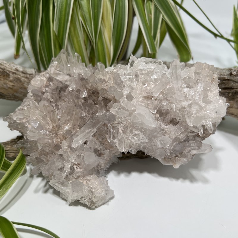 Lemurian Quartz Cluster