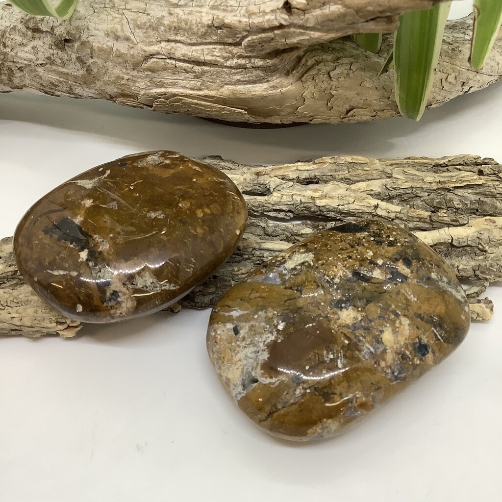 Apatite in Jasper Palm Stone Large