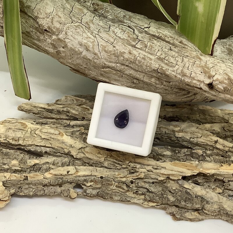 India Iolite Cabochon