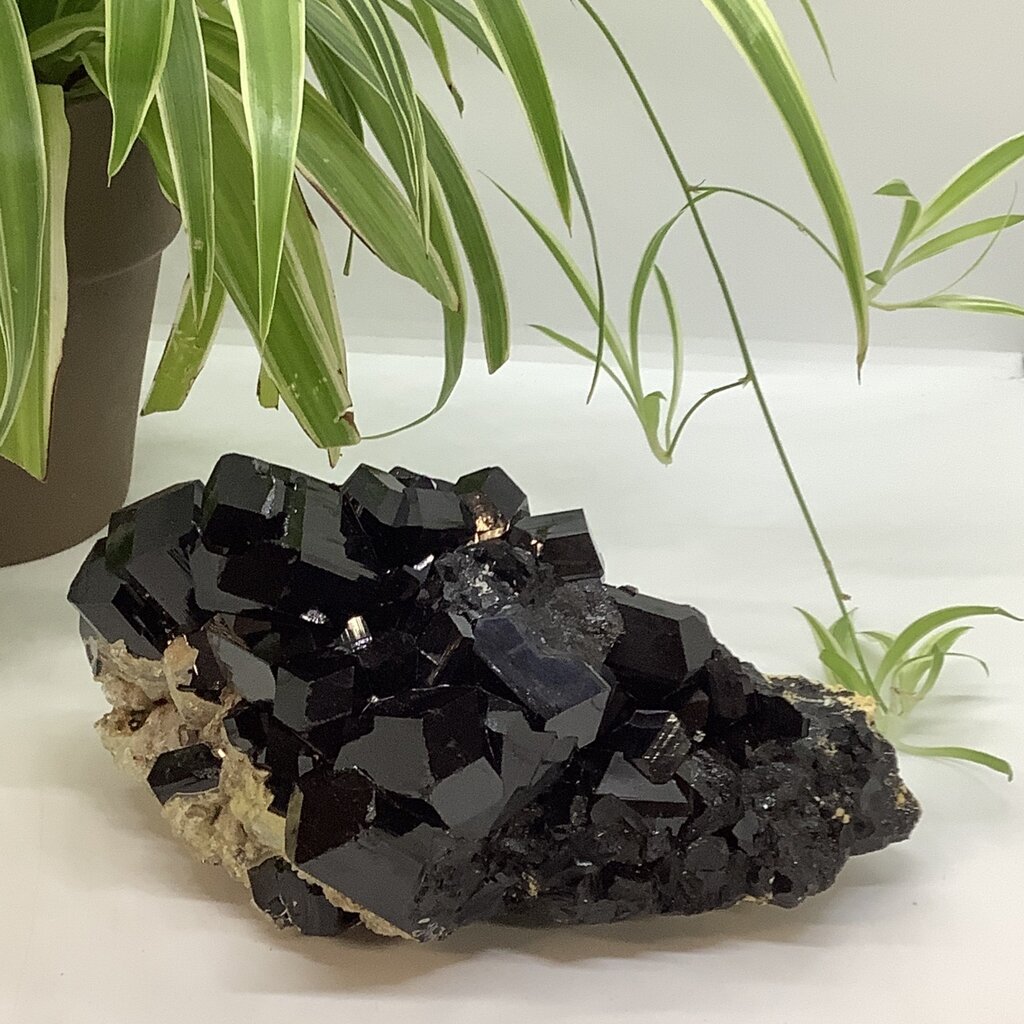 Black Tourmaline Cluster from Africa