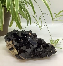 Black Tourmaline Cluster from Africa