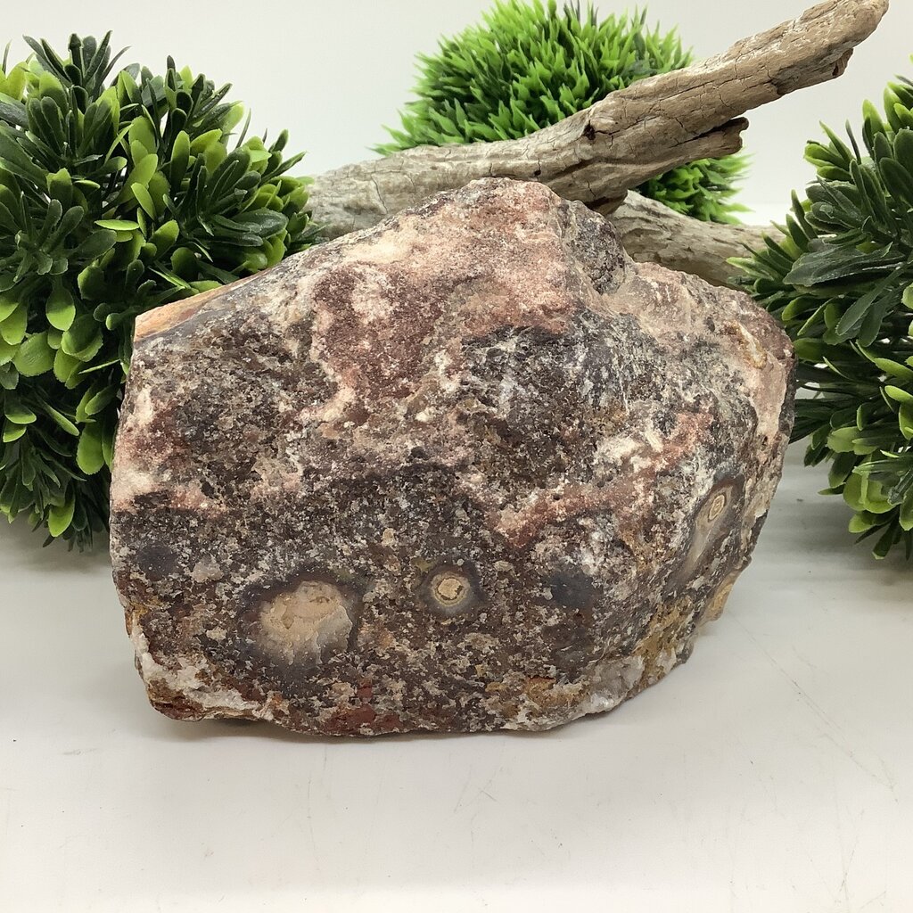 Leopardskin Jasper Half Raw Free Form