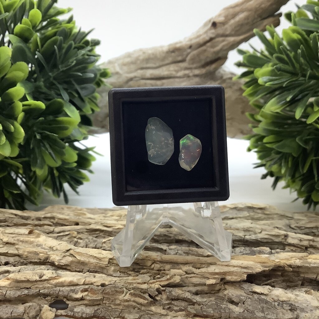 Ethiopian Opal 2 pc Set