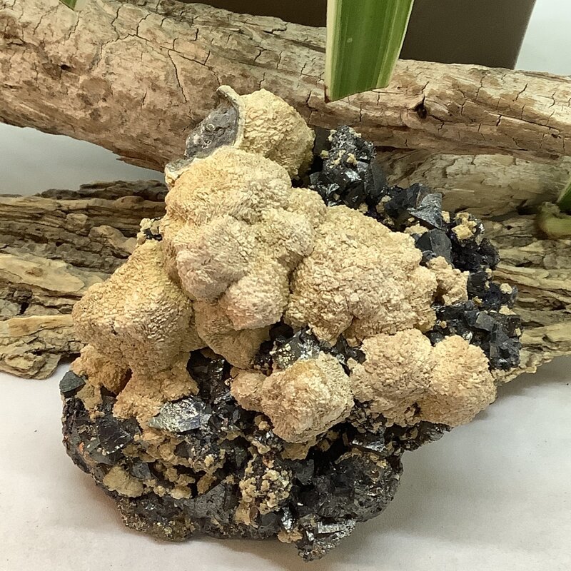 Tetrahedrite Sphalerite Pyrite and Quartz Cluster