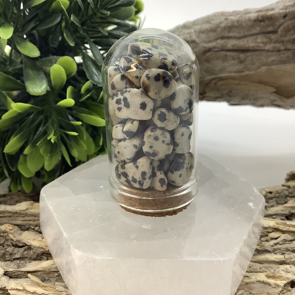 Dalmatian Stone Chip Jar