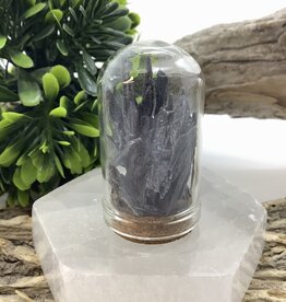 Black Kyanite Chip Jar