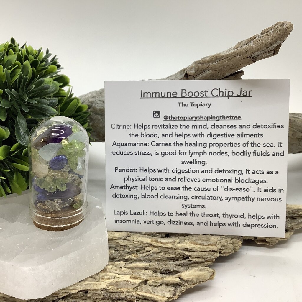 Immune Boost Chip Jar