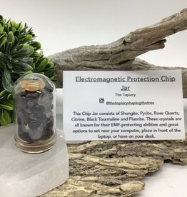 Electromagnetic  Protection Chip Jar