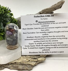Protection Chip Jar