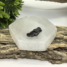 Seymchan Meteorite