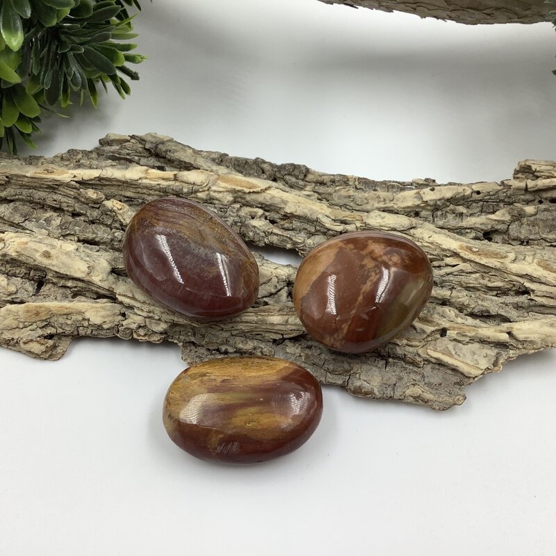 Petrified Wood Palm Stone