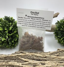 Pine Bud