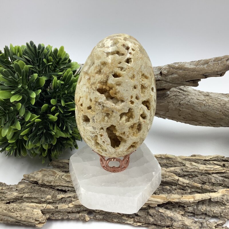 Indonesian Crazy Lace Agate Egg