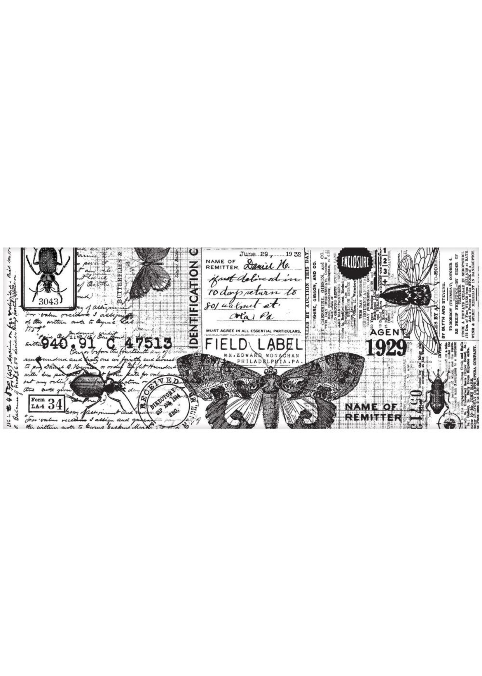 Idea-ology Entomology: Collage Paper