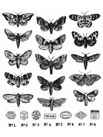 Tim Holtz Moth Study: Cling Rubber Stamp Set