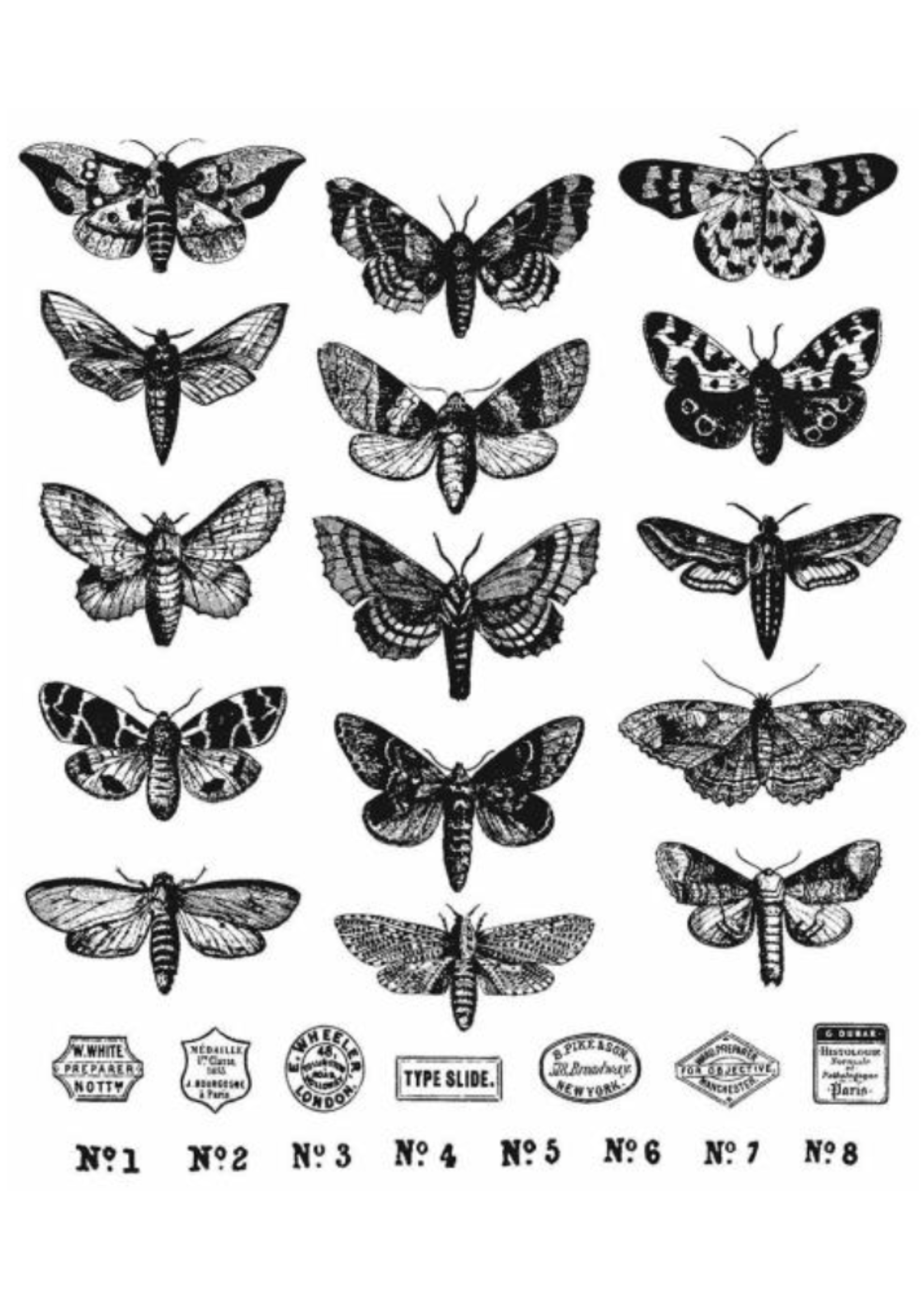 Tim Holtz Moth Study: Cling Rubber Stamp Set