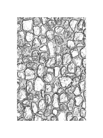 Tim Holtz Mini Cobblestone 3D TF Embossing Folder