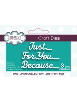 Creative Expressions Just For You Craft Die