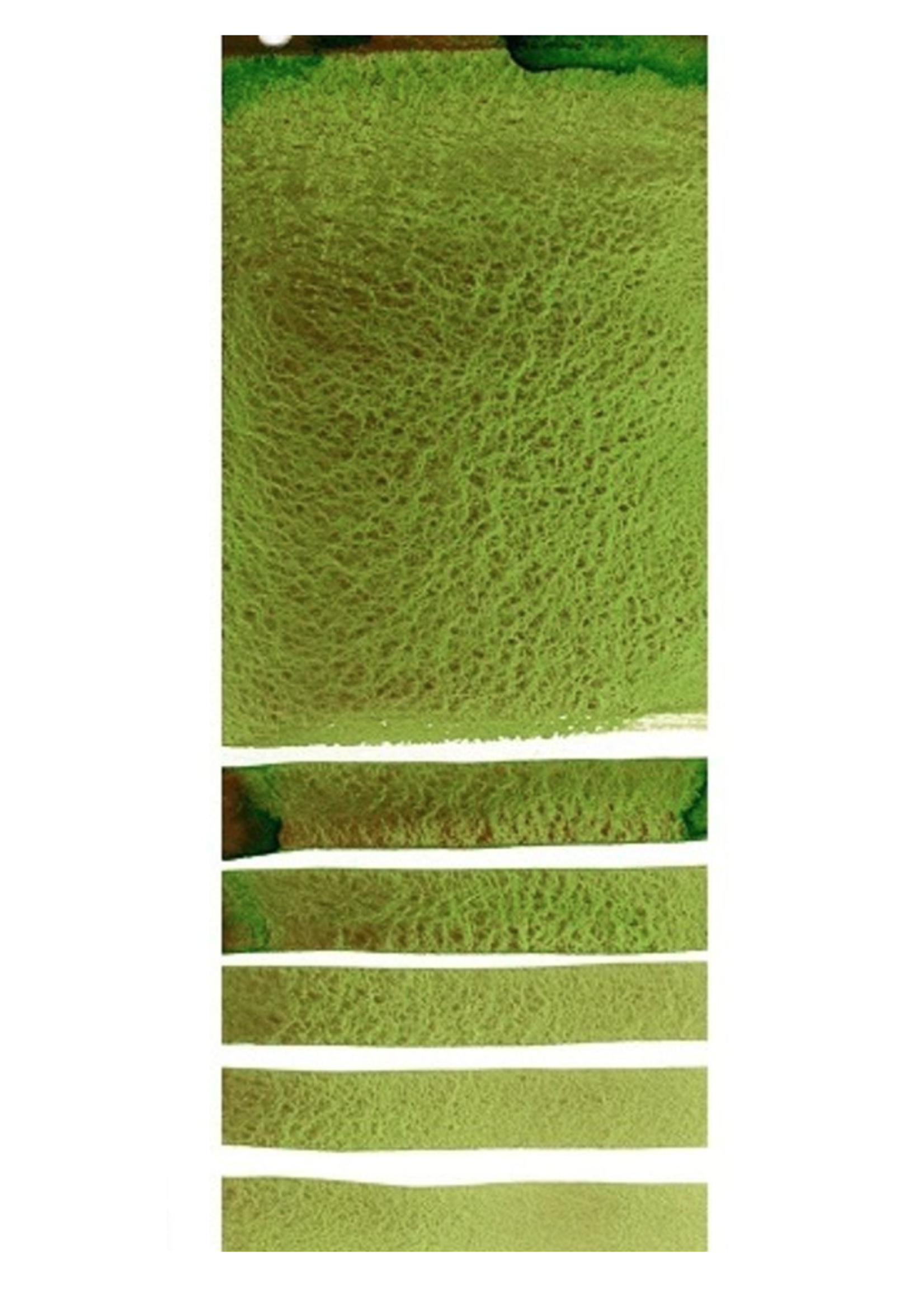 Daniel Smith Ds Watercolor Green Apatite Genuine 5ml