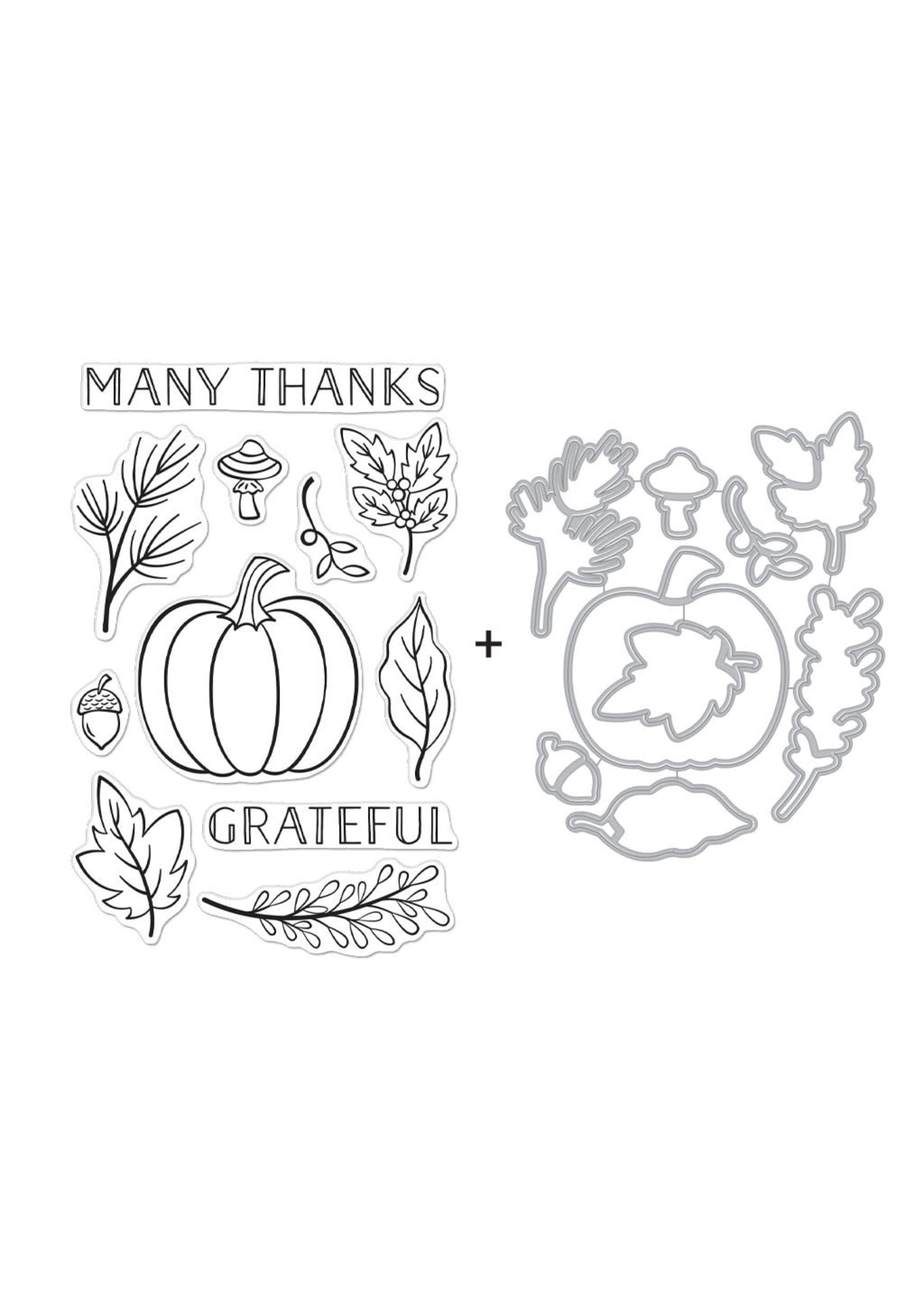 HERO ARTS Grateful Pumpkin Stamp & Die Bundle