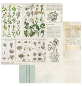 49 and Market Botanical Paper- Anthology