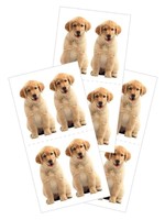 paper house Golden Retriever Puppy 2x4 stickers