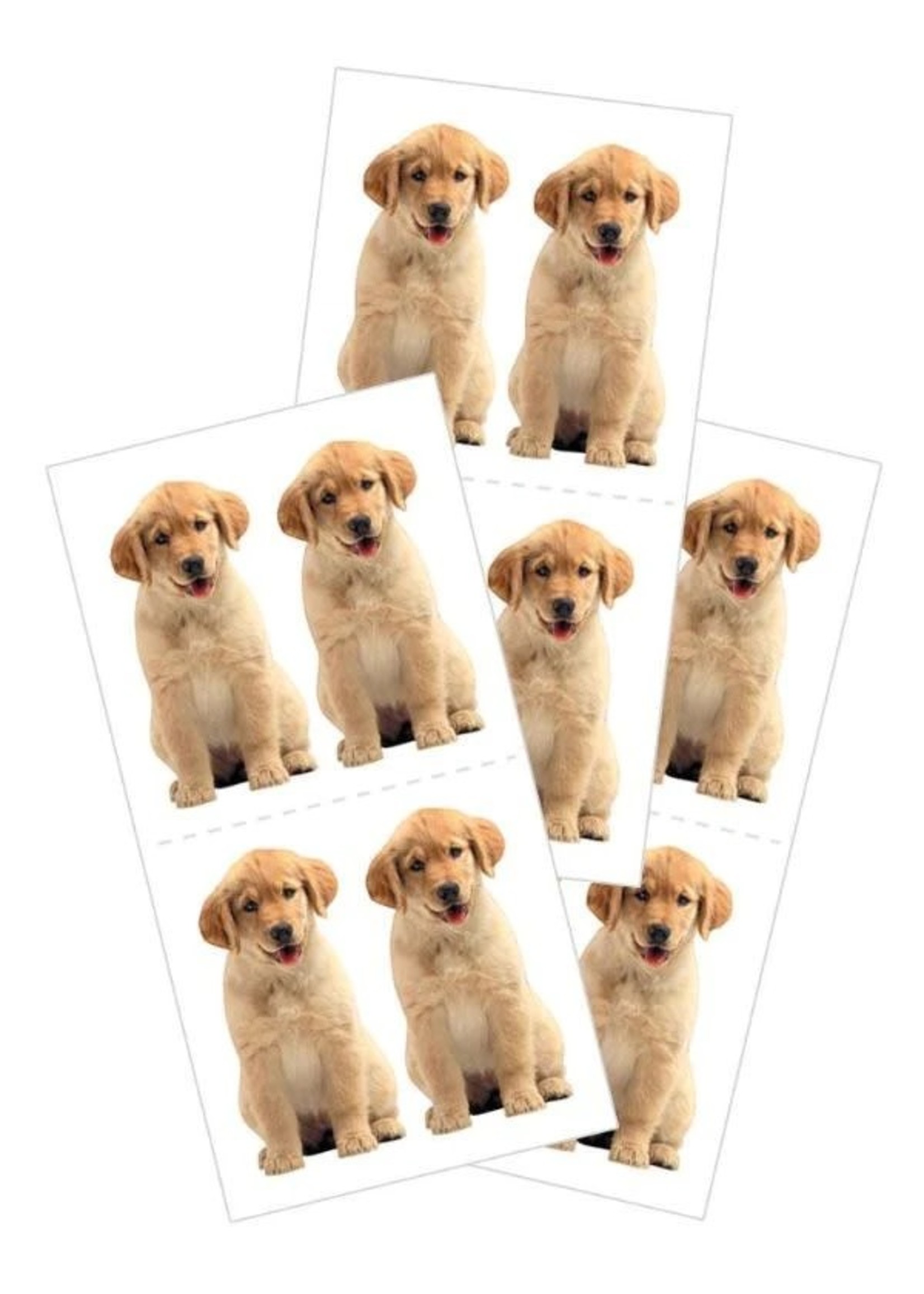 paper house Golden Retriever Puppy 2x4 stickers