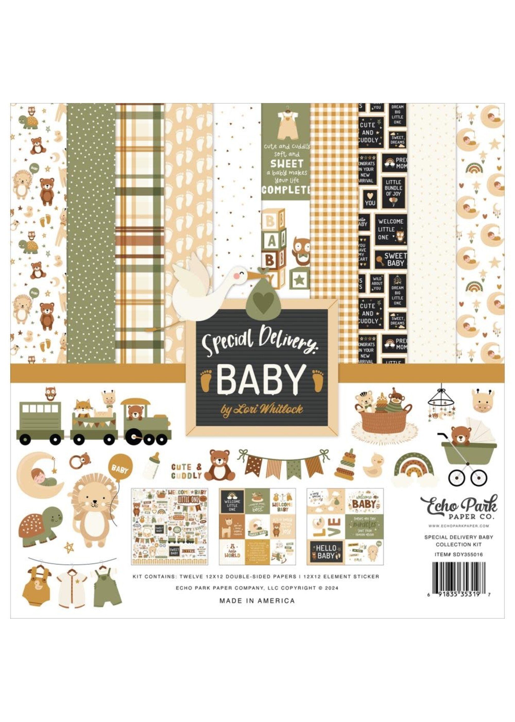 Echo Park Special Delivery Baby: Collectection Kit