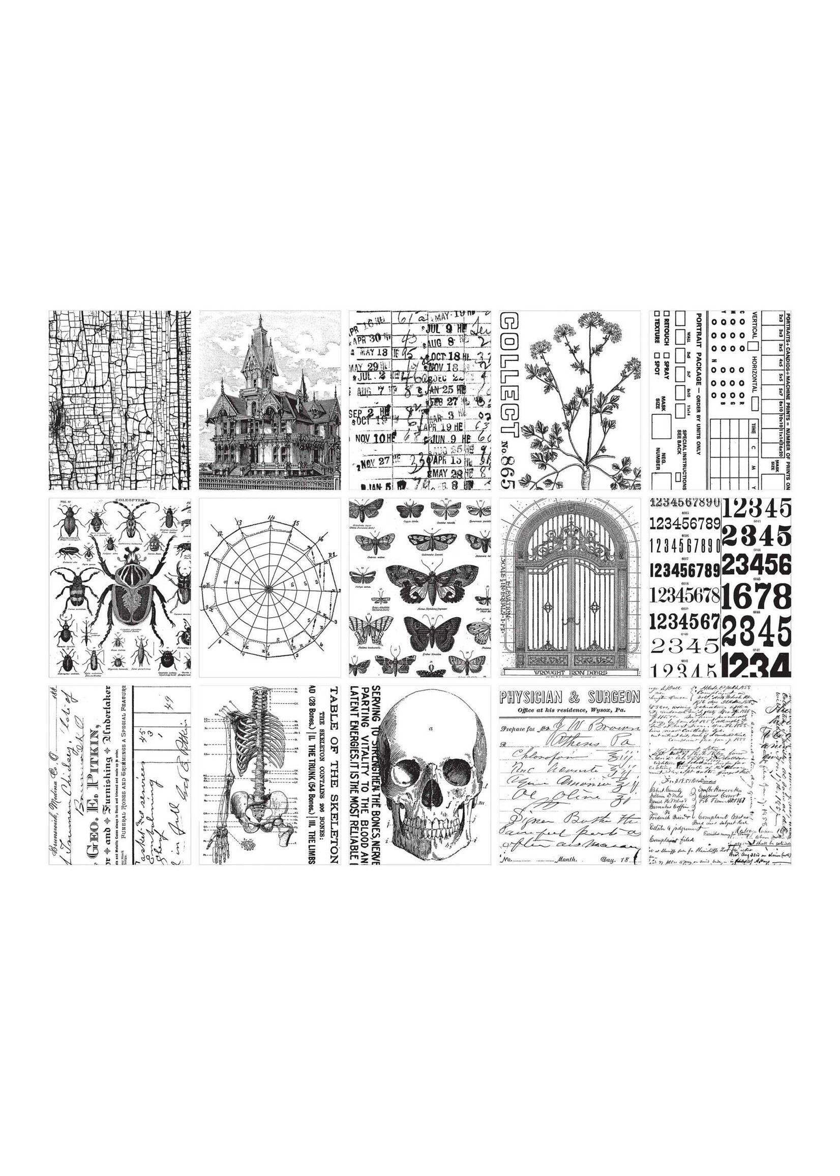 Tim Holtz Tim Holtz Ideaology Halloween 2024 Collage Paper Creative
