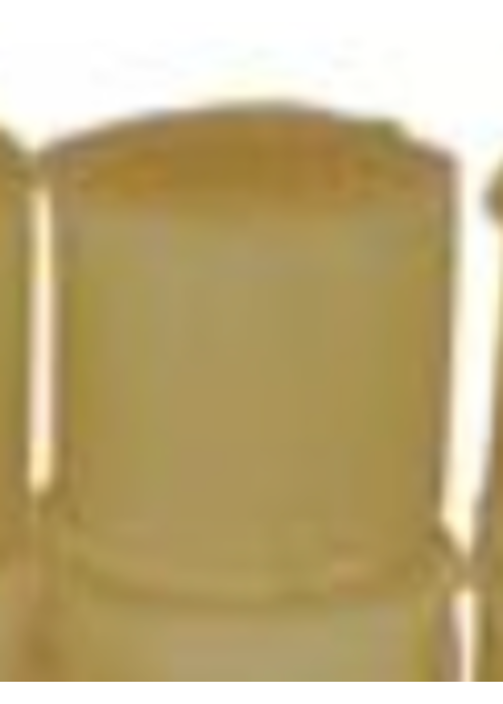 Beeswax 1 Oz Plug